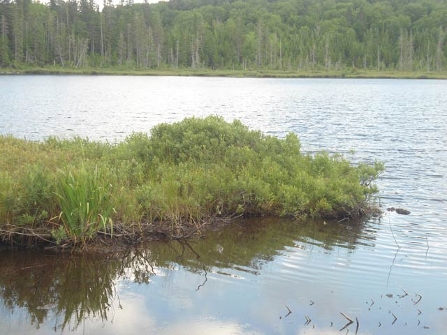 Lac-aux-canards2-g.jpg